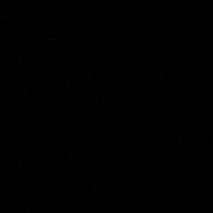 Meet your Posher, Elvis